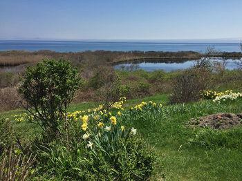 Sea Breeze Inn New Shoreham Bagian luar foto